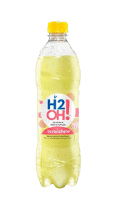 H2O TORONCHELO 500ML